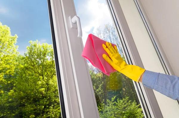 Local Window Cleaning Centennial Experts Ready to Help