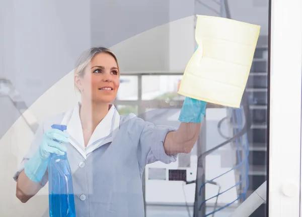 Choose Window Cleaning Bountiful for a Fresh and Polished Look